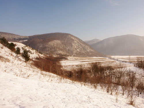 Foto Vedere de la SV spre Fitigau (c) Petru Goja